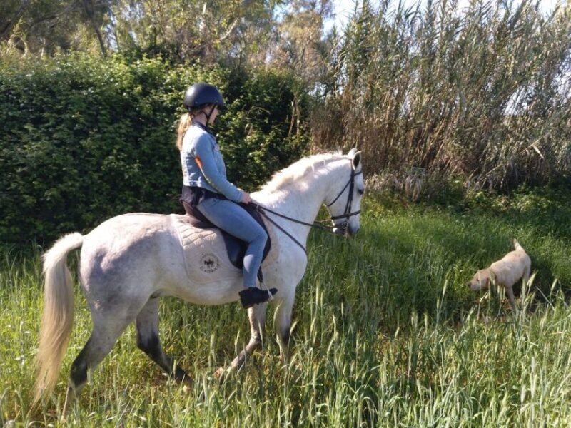 From Seville: Andalusian Horseback Ride - The Real Deal from Reviews