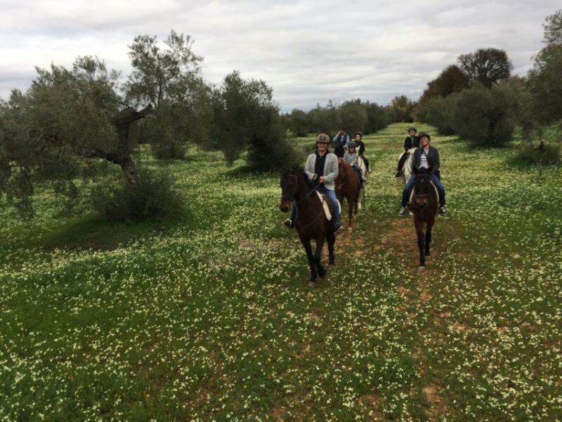 From Seville: Andalusian Horseback Ride - Who Is This Tour Best Suited For?