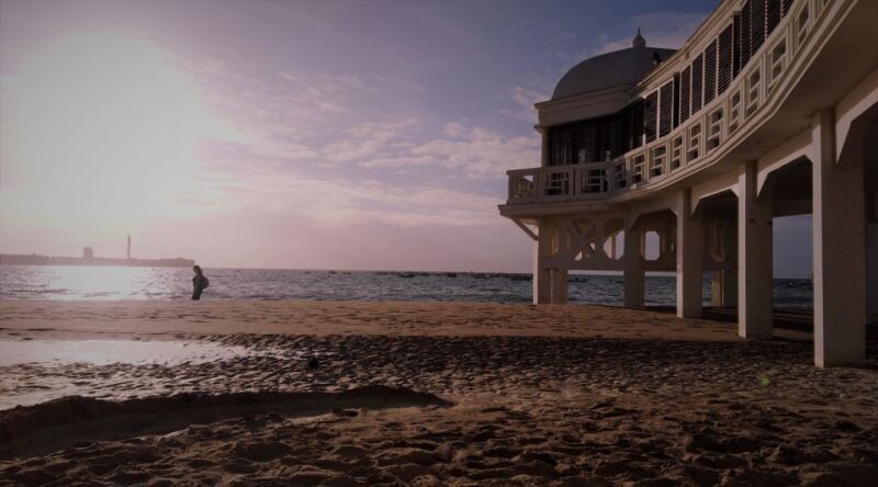 From Seville: Cadiz and Jerez de la Frontera Day Trip - The Nuts and Bolts of the Experience