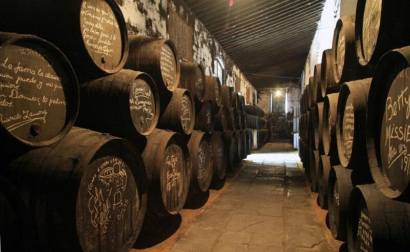 From Seville: Cadiz and Jerez de la Frontera Day Trip - Final Thoughts