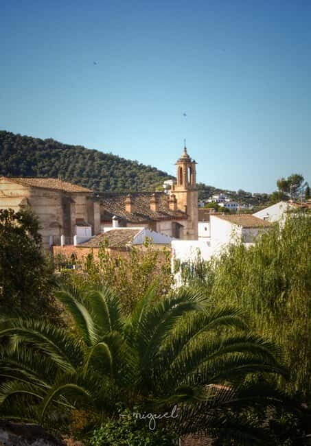 From Seville: Cerro del Hierro Private Hike with Picnic - Key Points