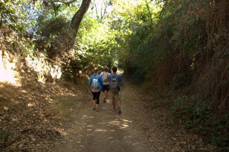 From Seville: Cerro del Hierro private hiking with pic-nic - The Practicalities: Transportation, Group Size, and What to Bring