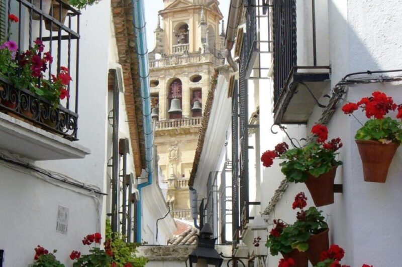 From Seville: Córdoba and Mosque Cathedral Full-Day Tour - Pricing and Value