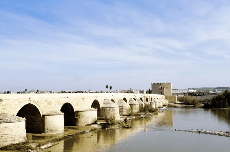 From Seville: Cordoba Private Day Trip - Final Thoughts