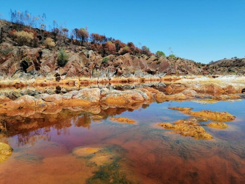 From Seville: Expedition To "Mars" Private Full-Day Tour - Key Points