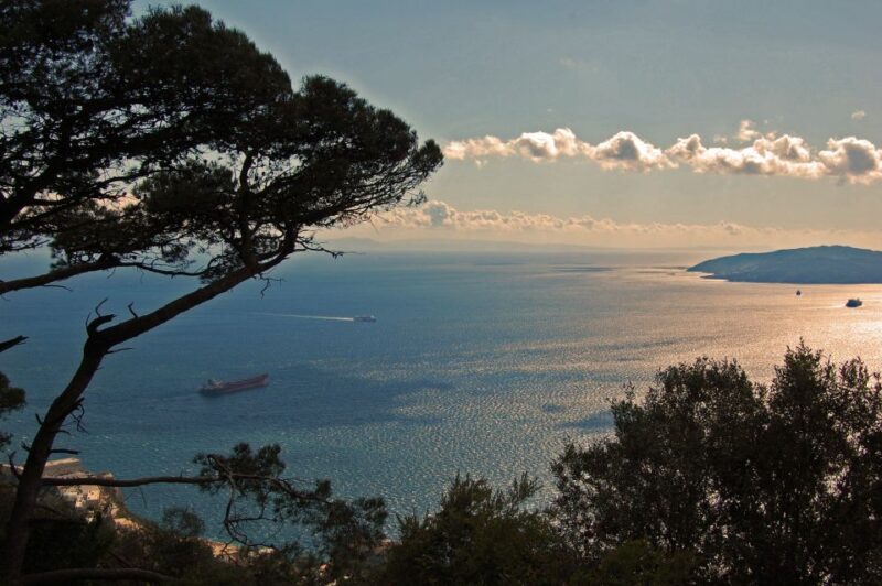 From Seville: Full-Day Trip to Gibraltar - Is This Tour Right for You?
