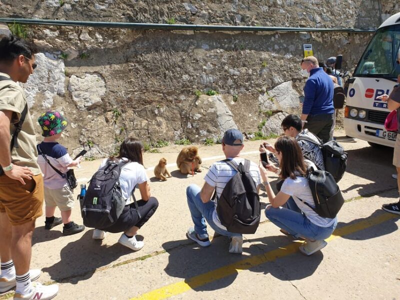 From Seville: Full-Day Trip to Gibraltar - Final Thoughts