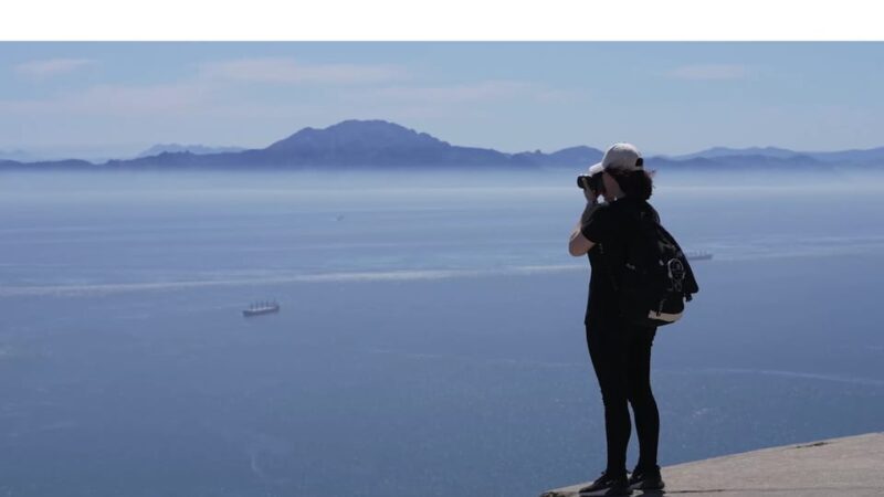 From Seville: Gibraltar Sightseeing Tour - What to Expect on the Gibraltar Tour from Seville