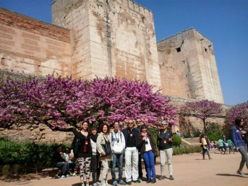 From Seville: Granada Day Trip with Alhambra and Albaicín - Who Will Love This Tour?