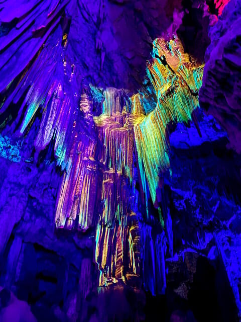 From Seville: Guided Day Trip to Gibraltar - The Sum Up