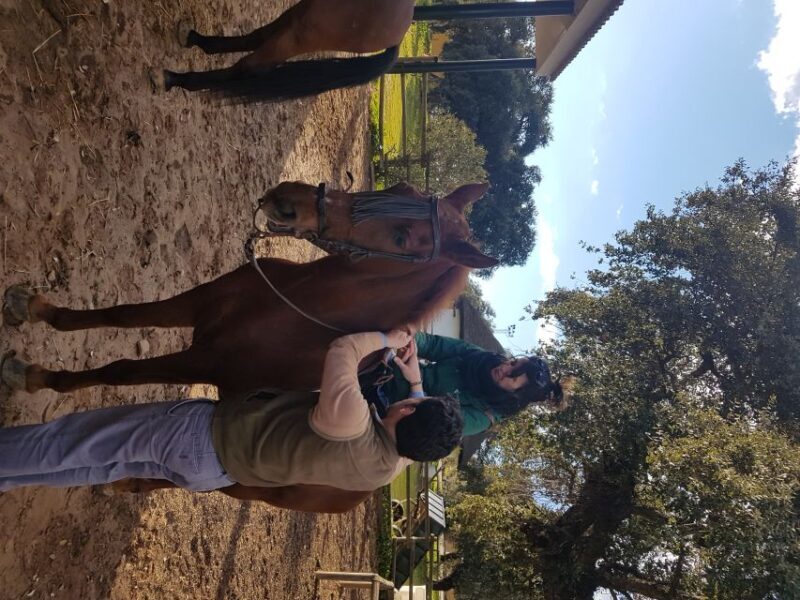 From Seville: Horseback Riding Experience in Aljarafe - The Experience from Reviews and Practical Details