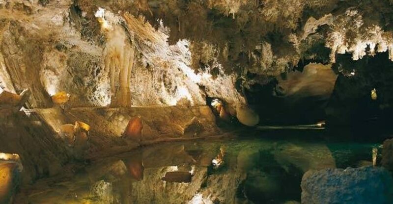 From Seville: Iberian Ham Full-Day Tour to Aracena - What to Expect from the Tour