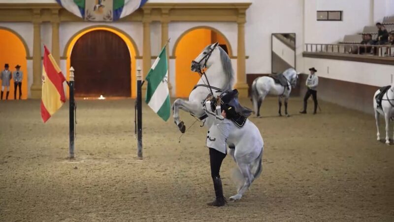 From Seville: Jerez, Cádiz and Andalusian Horses - The Full Experience: What You Can Expect