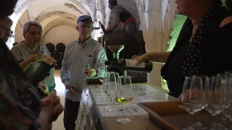 From Seville: Jerez, Cádiz and Andalusian Horses - Potential Drawbacks and Considerations