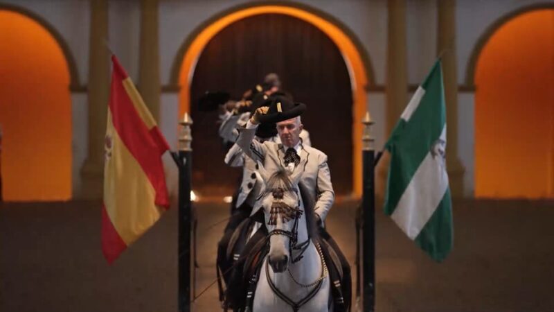 From Seville: Jerez, Cádiz and Andalusian Horses - Who is This Tour Best For?