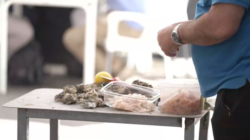 From Seville: Jerez, Cádiz and Andalusian Horses - Final Thoughts