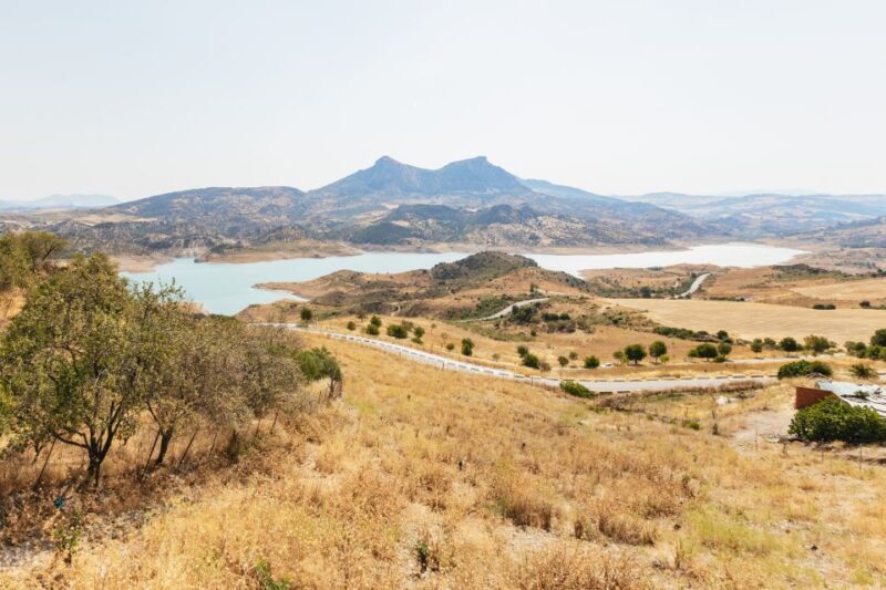 From Seville: Pueblos Blancos and Ronda Full-Day Trip - Real Traveler Insights