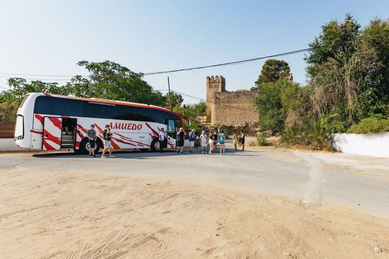 From Seville: Pueblos Blancos and Ronda Full-Day Trip - The countryside on the way to Ronda: honey, cork, spice… and animals