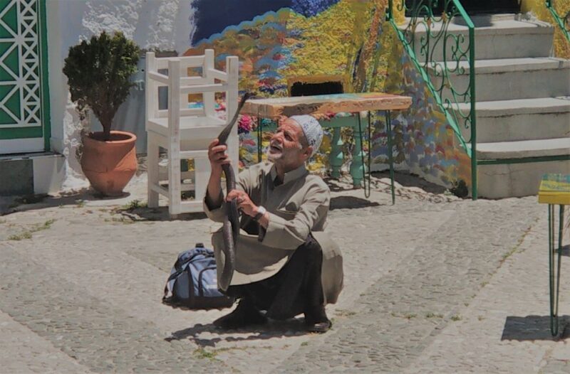 From Seville: Tangier Day Trip with Local Guide and Lunch - The Sum Up