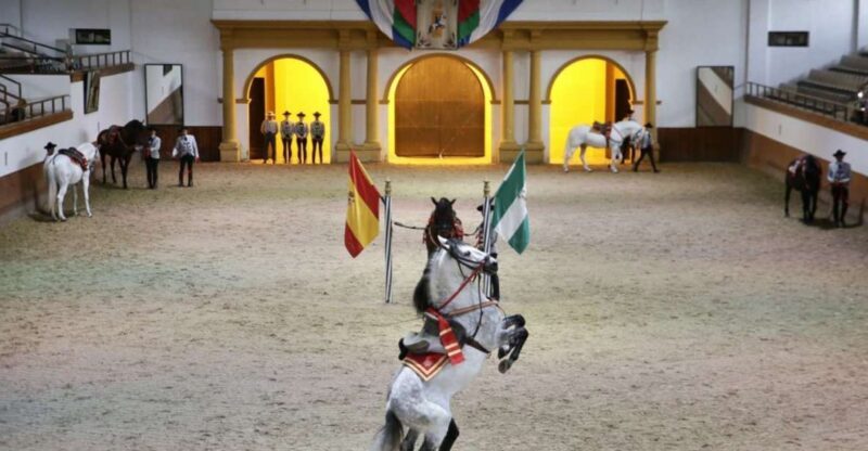 From Seville: Tour of Jerez with Horse Show & Wine Tasting - Authentic Perspectives From Past Travelers