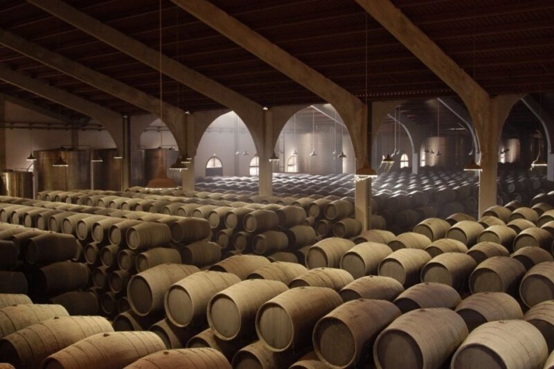 From Seville: Tour of Jerez with Horse Show & Wine Tasting - Who Would Love This Tour?