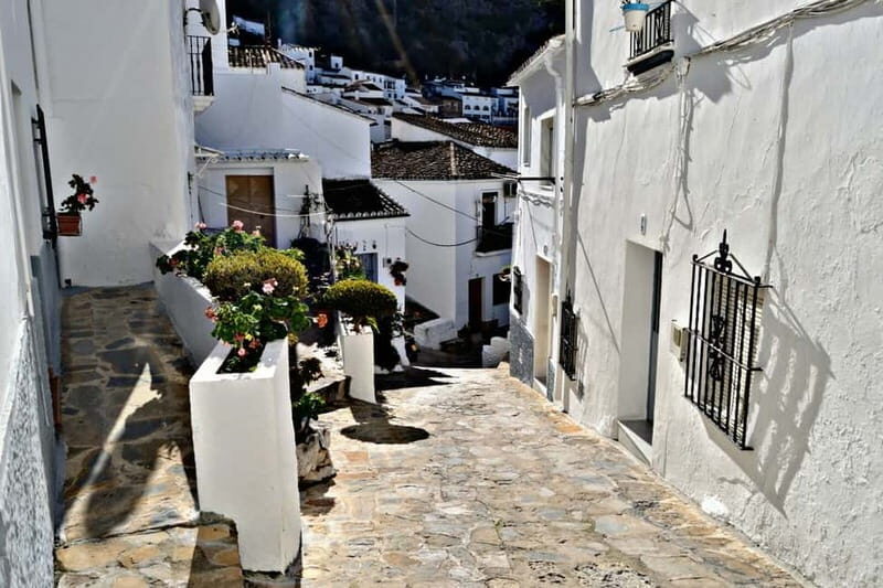 From Seville: White Villages and Ronda private day trip - Key Points
