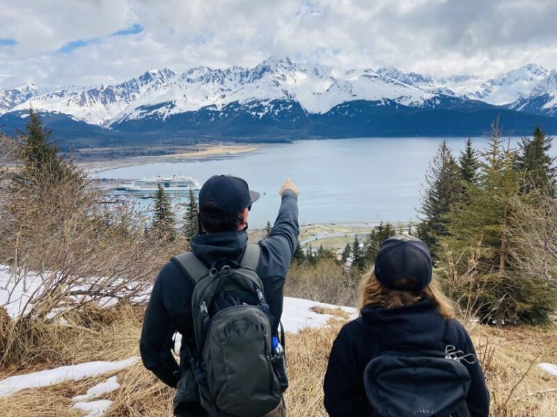 From Seward: 6-hour Wilderness Hiking Tour - Key Points