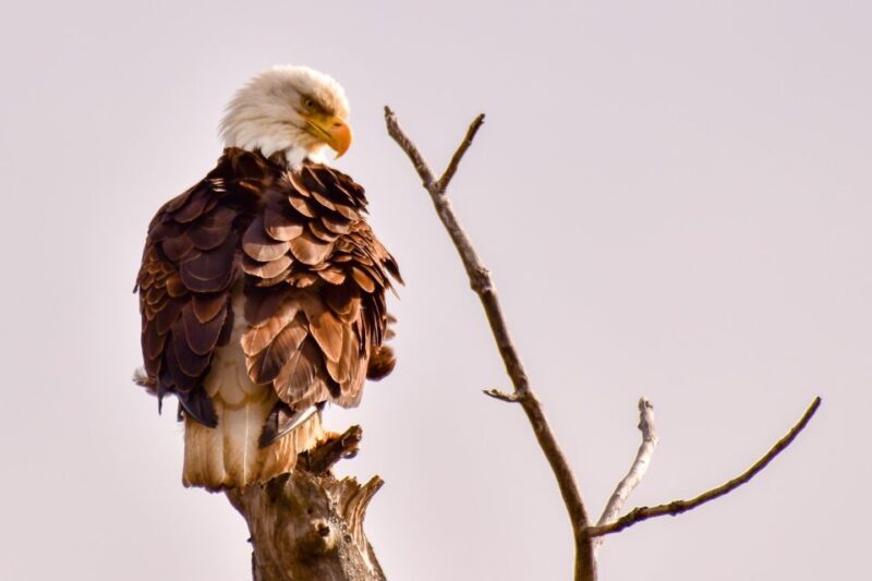 From Seward: 6-hour Wilderness Hiking Tour - Who Is This Tour Best For?