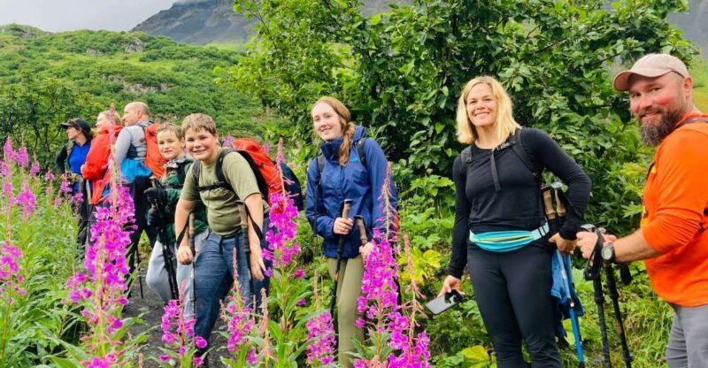 From Seward: 6-hour Wilderness Hiking Tour - Final Thoughts