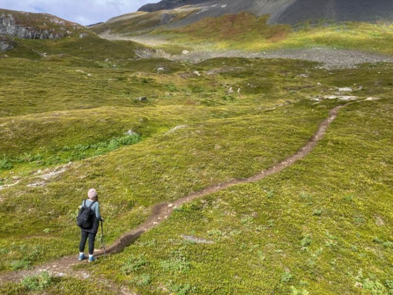 From Seward: Harding Icefield Trail Hiking Tour - The Sum Up