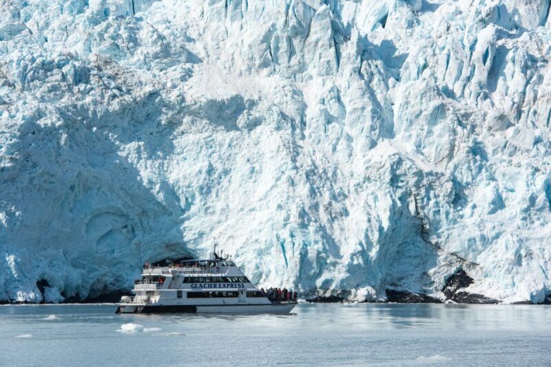 From Seward: Kenai Fjords National Park Cruise with Lunch - The Experience in Detail