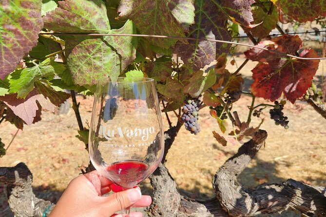 From SF: Napa and Sonoma Valley Wine Experience with 3 Wineries - Who Should Consider This Tour