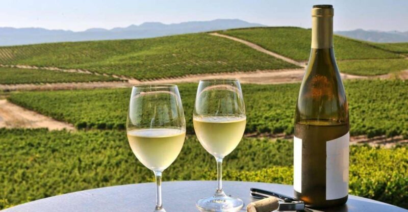 From SFO - Enchanted Napa & Sonoma Wine Tour in SUV - What’s Included and What’s Not