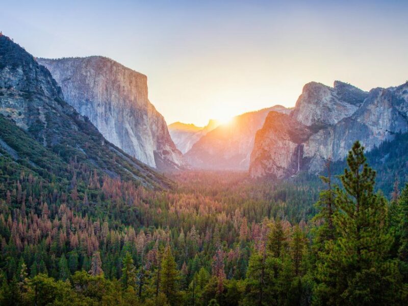 From SFO-Yosemite National Park-Enchanting Full Day Tour - Who Should Consider This Tour?
