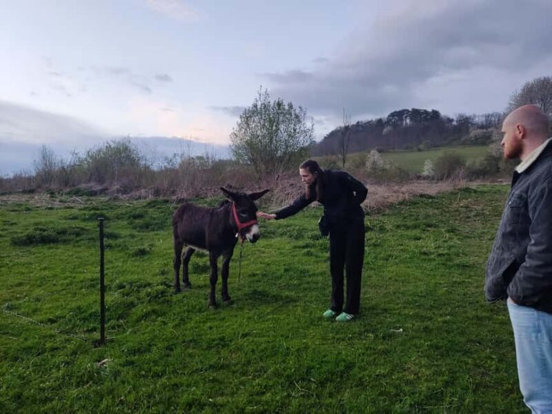 From Sibiu: Villages, Farm Life & Horse Carriage Ride - Key Points