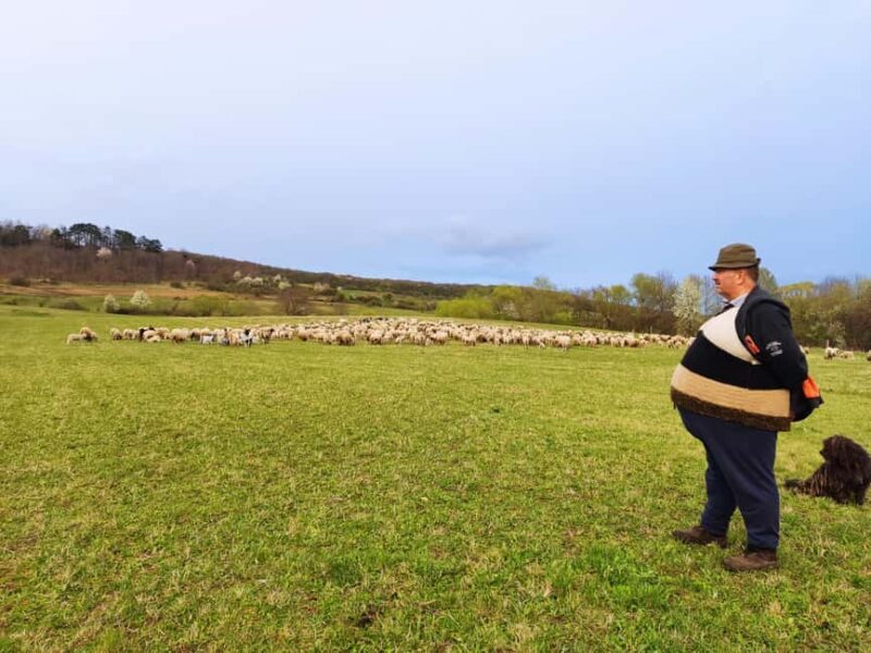 From Sibiu: Villages, Farm Life & Horse Carriage Ride - Discovering the Charm of Rural Transylvania: An Itinerary Breakdown