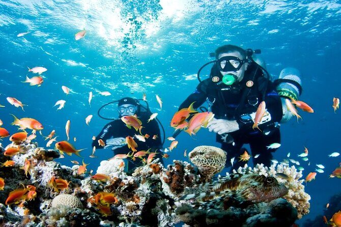 From Side, Alanya: Scuba Diving With 2 Time Dive & Lunch - The Itinerary in Detail