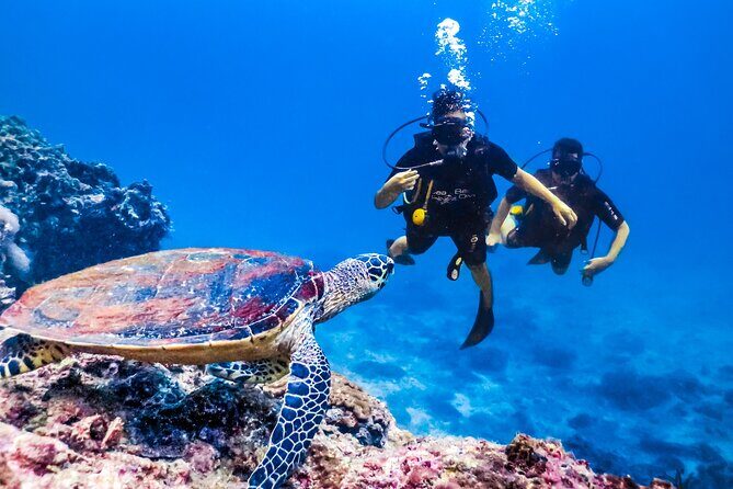 From Side, Alanya: Scuba Diving With 2 Time Dive & Lunch - Frequently Asked Questions