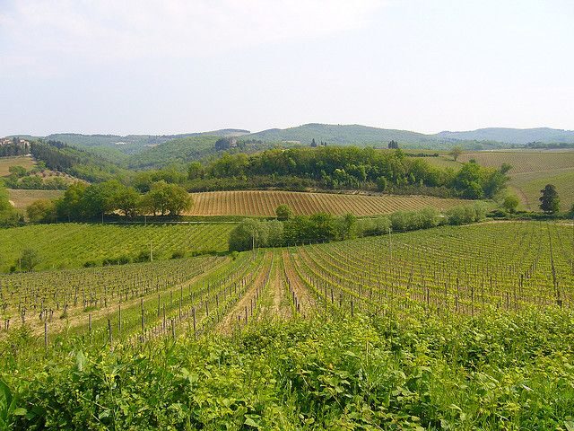 From Siena: Chianti and Castles Tour with Wine Tastings - Final Thoughts