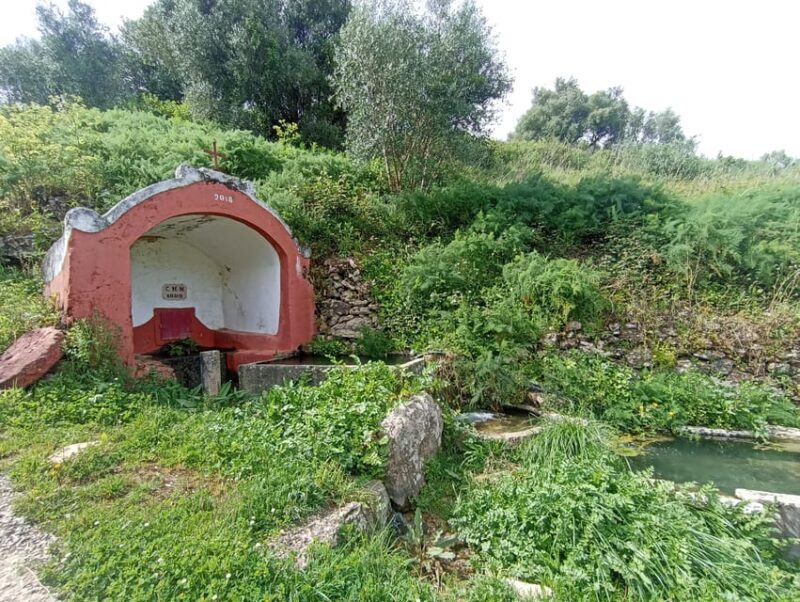 From Sintra, Mafra, or Ericeira: Hike and Wine Tour - From Sintra, Mafra, or Ericeira: Hike and Wine Tour — A Deep Dive