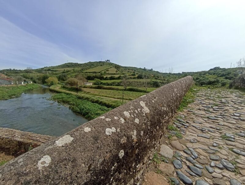 From Sintra, Mafra, or Ericeira: Hike and Wine Tour - Key Points