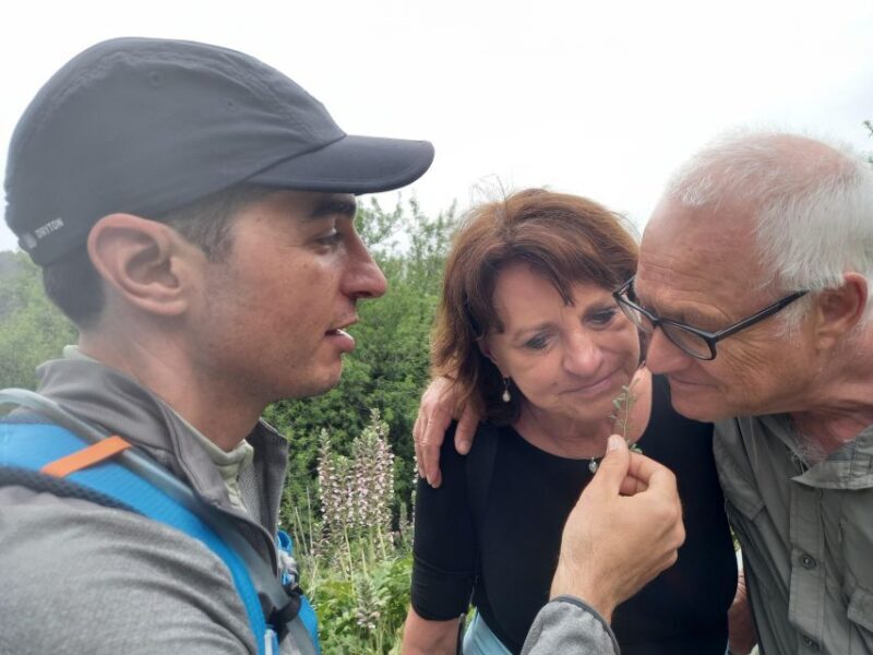 From Siracusa: Pantalica Nature Reserve Guided Hiking Tour - Key Points