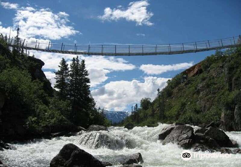 From Skagway: White Pass and Yukon Suspension Bridge Tour - What the Tour Entails: A Deep Dive