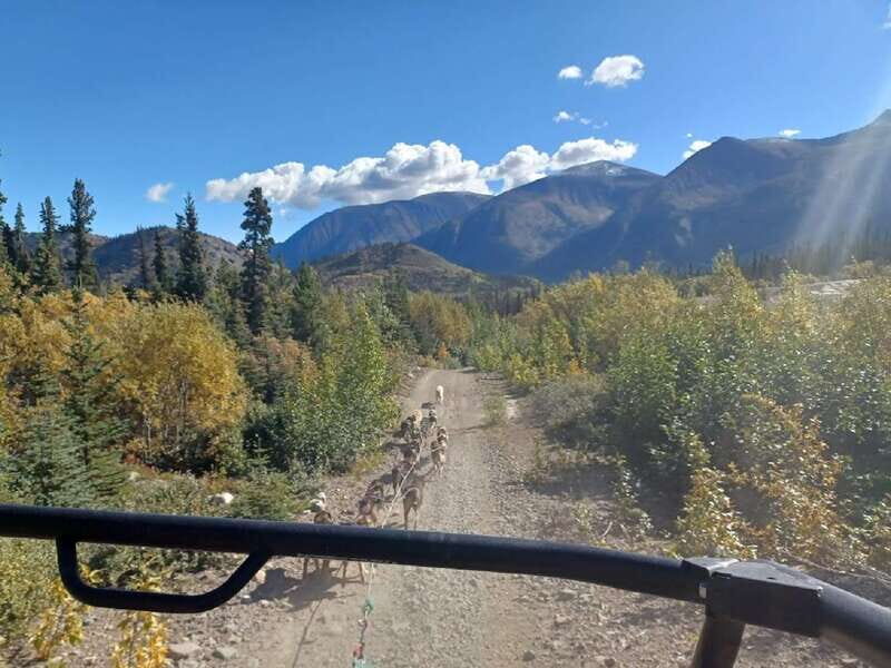 From Skagway: Yukon Sled Dog Mushing & White Pass Combo - Final Thoughts