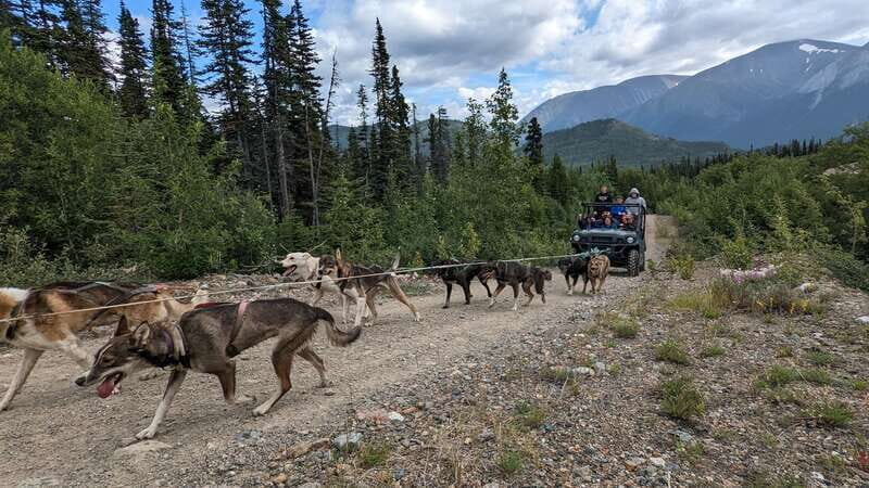 From Skagway: Yukon Sled Dog Mushing & White Pass Combo - FAQ