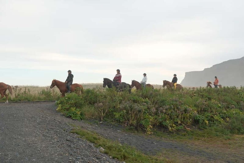 From Skarfabakki: South Coast Tour w/ Solheimajokull Glacier - What Travelers Are Saying