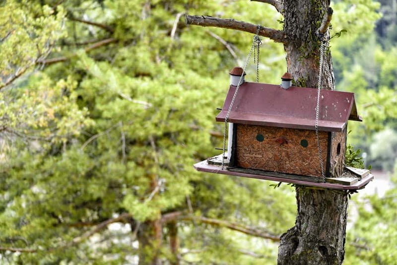 From Skopje: Berovo Full Day Tour and Hike - What We Think About the Experience