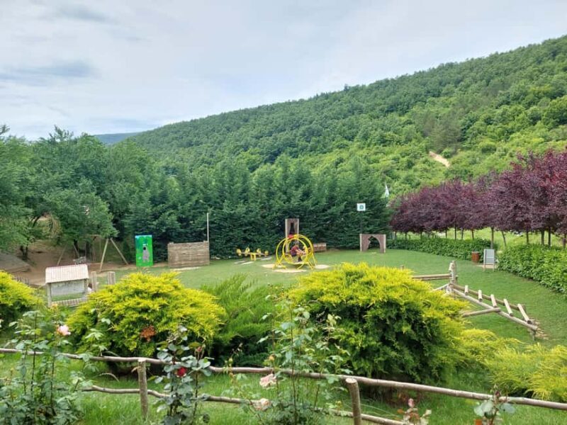 From Skopje: Kosovo in a Day  Prishtina, Monastery & Bears - Key Points