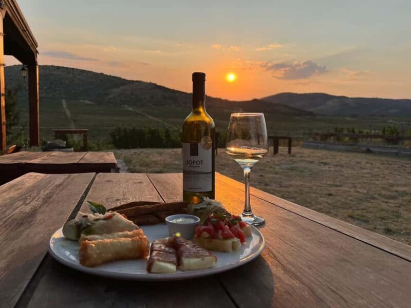 From Skopje: Lazar & Chateau Sopot Wineries Visit & Tastings - Who Is This Tour Best For?