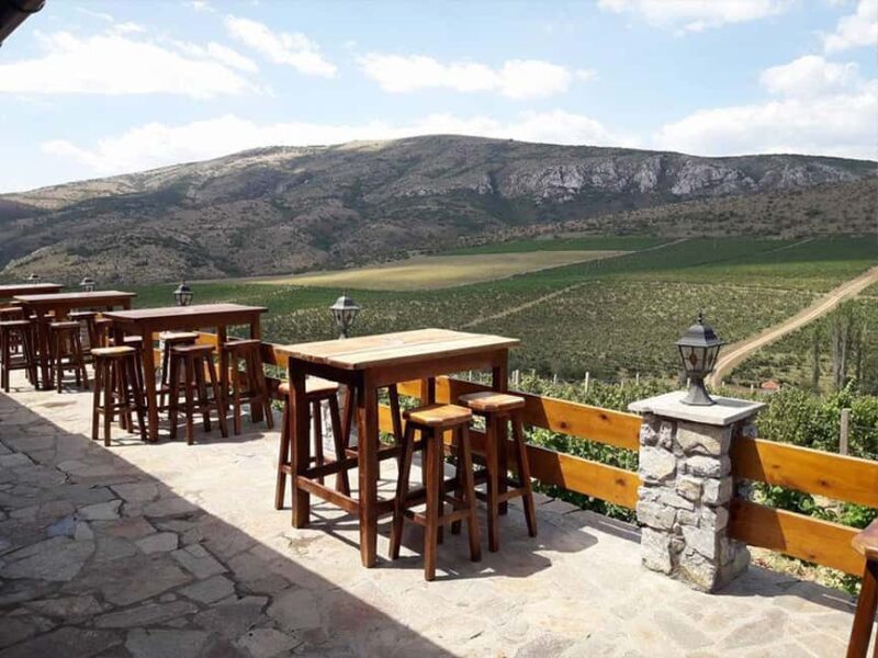 From Skopje: Lazar & Chateau Sopot Wineries Visit & Tastings - Final Thoughts